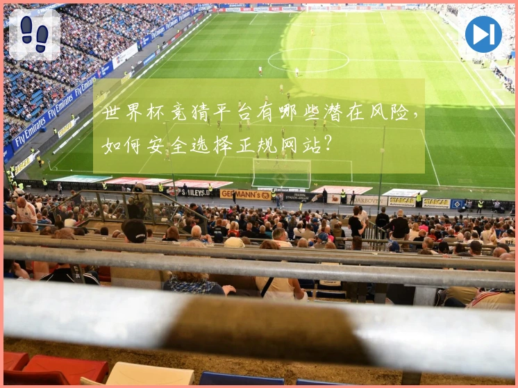 世界杯竞猜平台有哪些潜在风险，如何安全选择正规网站？
