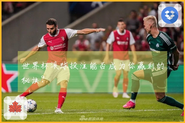 世界杯滚球投注能否成为你赢利的秘诀？