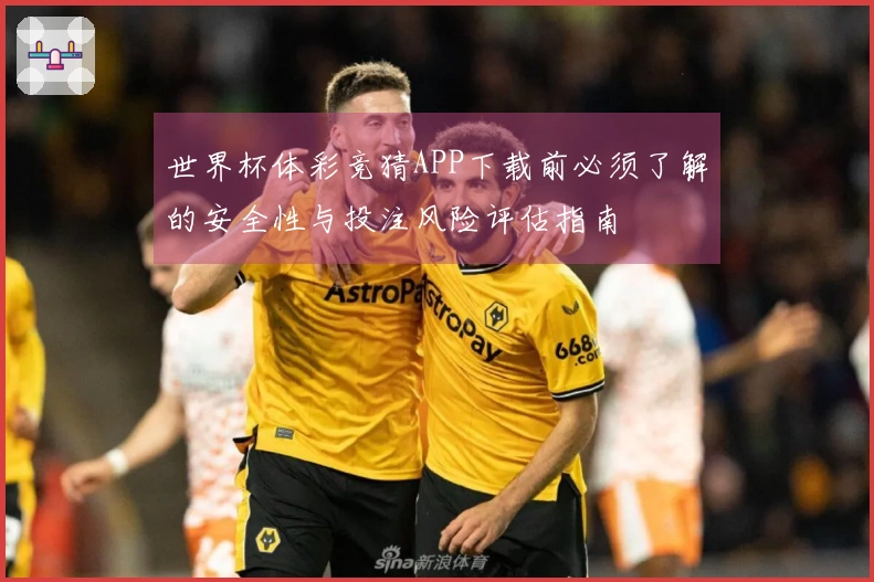 世界杯体彩竞猜APP下载前必须了解的安全性与投注风险评估指南