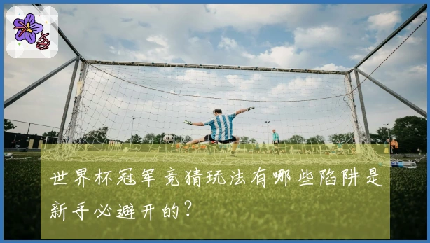世界杯冠军竞猜玩法有哪些陷阱是新手必避开的？